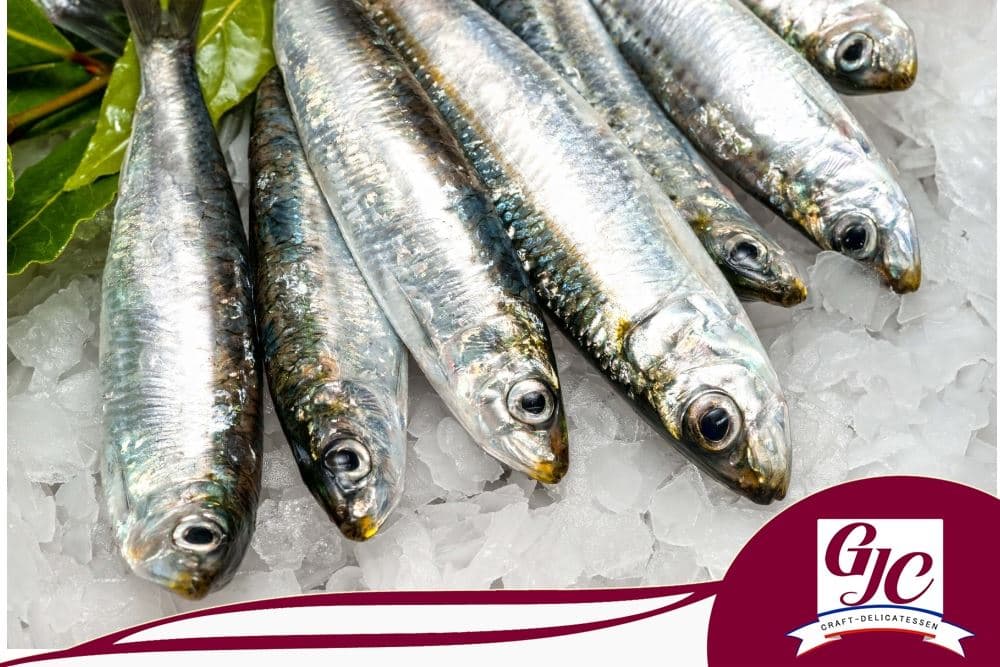 Sardine de l'Atlantique