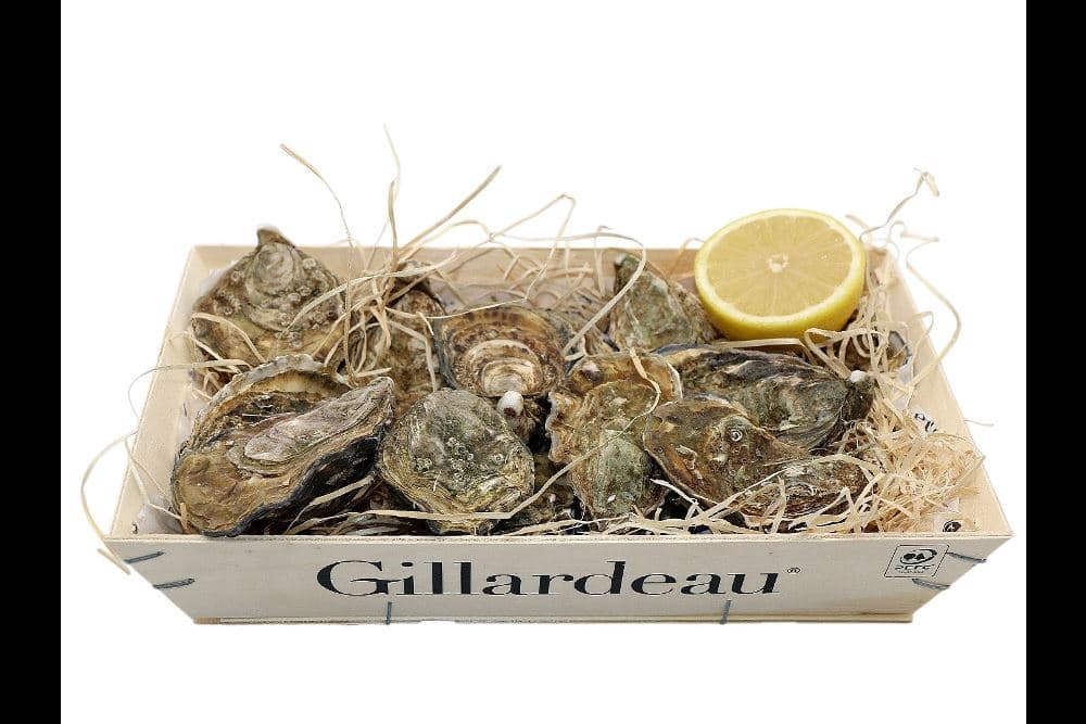 Huétre Gillardeau N3